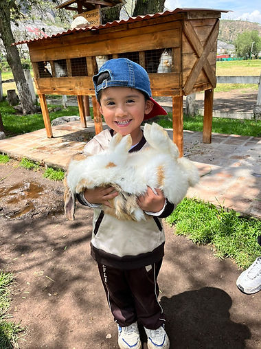 WhatsApp Image 2026-04-16 at 10.08.15 AM (3).jpeg